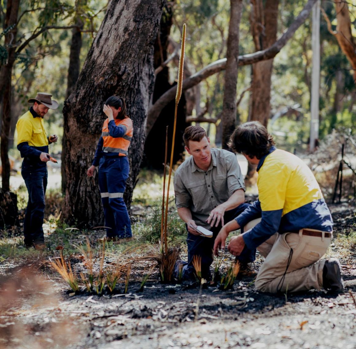 Consultoria em Sustentabilidade